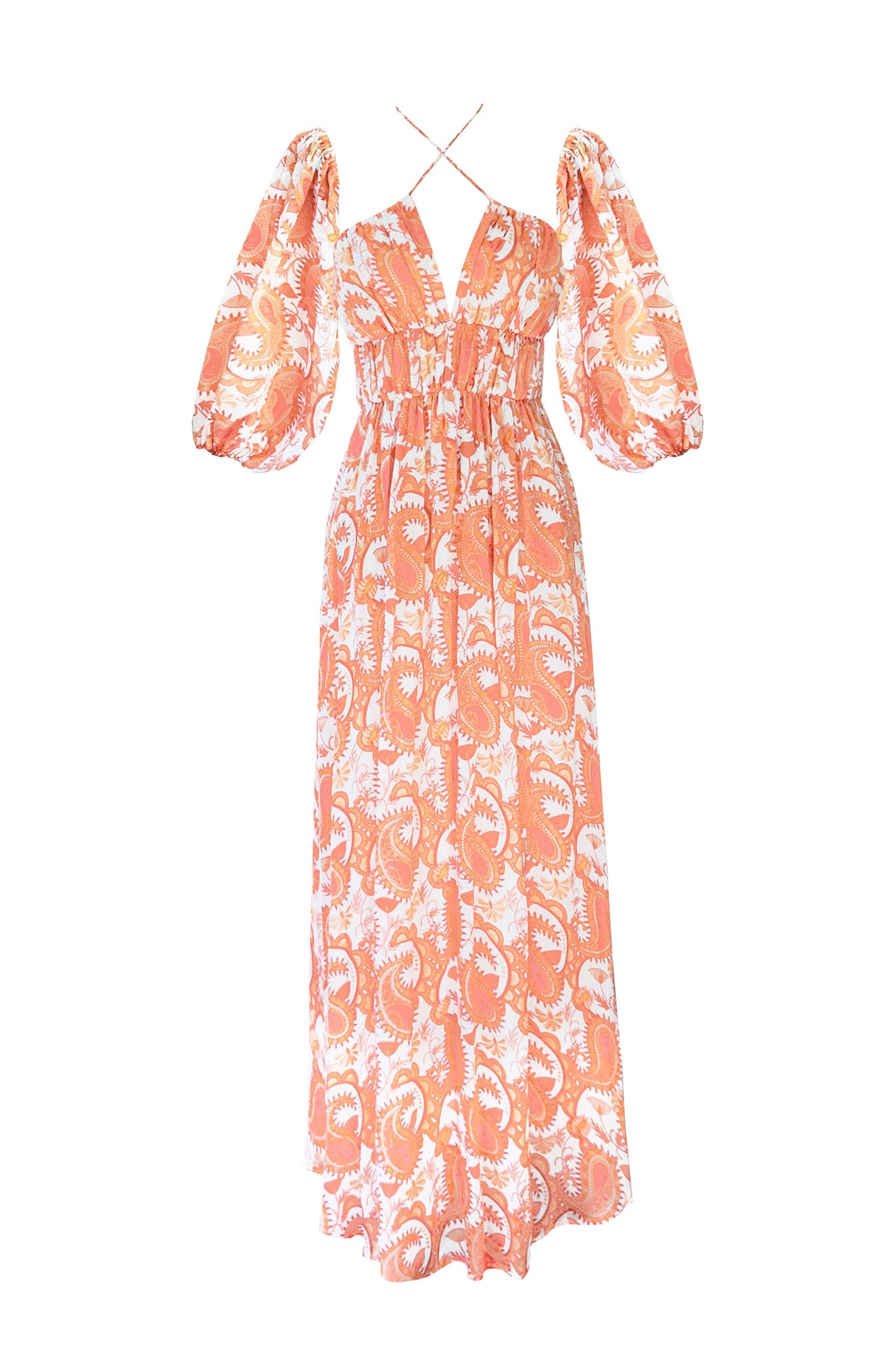 Fayal Paisley Bemberg Maxi Dress