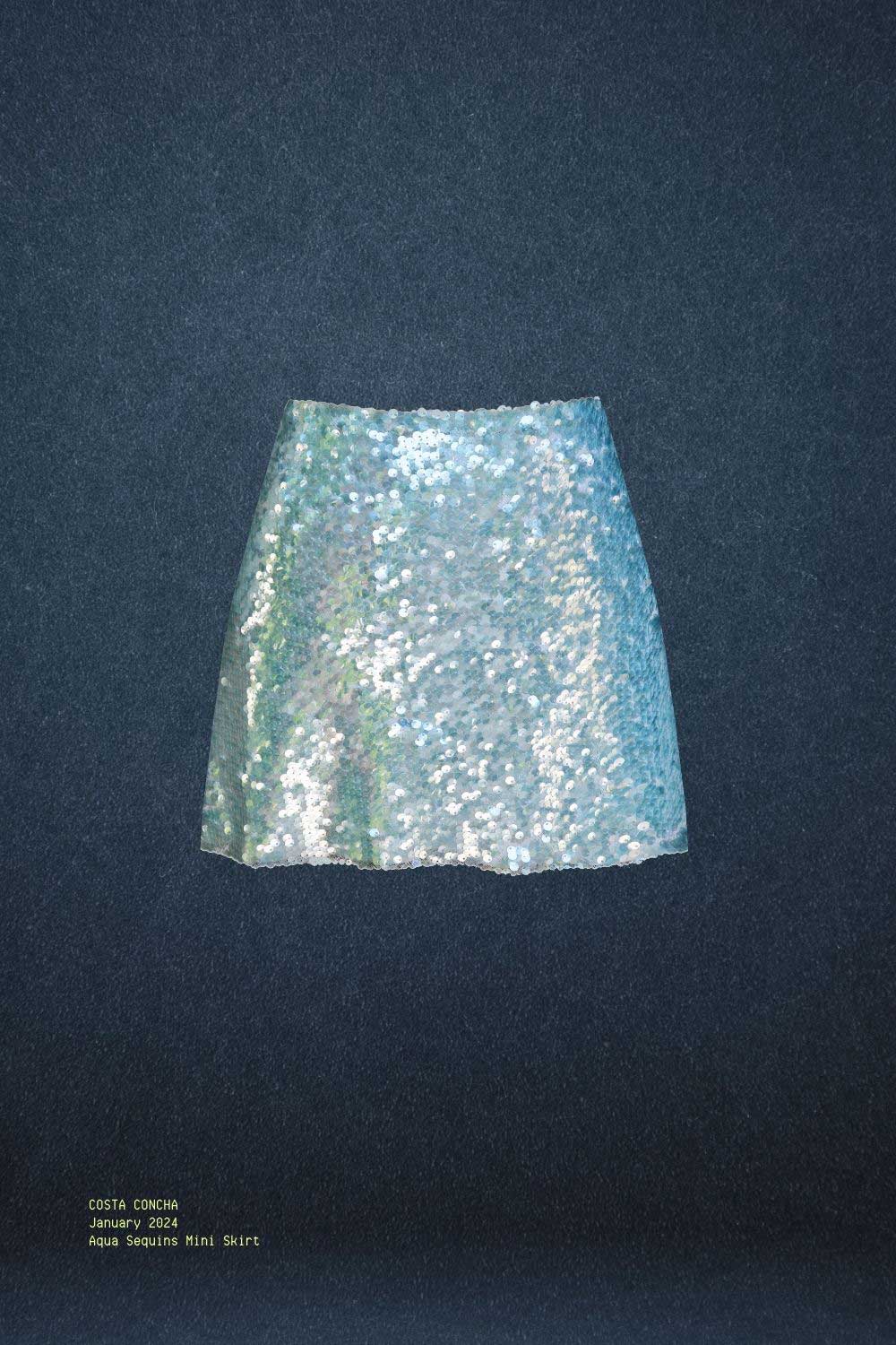 Aqua Sequins Skirt